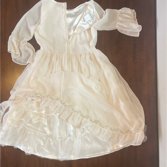 Chasing Fireflies Fancy Dress - Picture 7 of 8